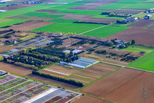 Baumschule Schillinger H.-J. und S. und Pferdehof Blum, Im Kornfeld in Möglingen im Bundesland Baden-Württemberg, Deutschland