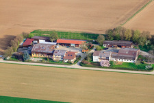 Hofladen Jopp, Im Kornfeld in Möglingen im Bundesland Baden-Württemberg, Deutschland