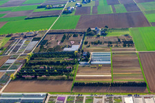 Luftaufnahme von Baumschule Schillinger H.-J. und S., Im Kornfeld in Möglingen im Bundesland Baden-Württemberg, Deutschland