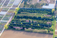 Baumschule Schillinger H.-J. und S., Gröninger Weg in Möglingen im Bundesland Baden-Württemberg, Deutschland