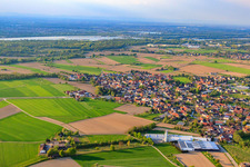 Luftbild von Ruhsi GmbH & Co. KG im Ortsteil Rheinbischofsheim in Rheinau im Bundesland Baden-Württemberg, Deutschland