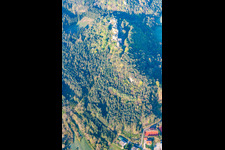 Dahn, Ruine Alt-Dahn im Bundesland Rheinland-Pfalz, Deutschland aus der Vogelperspektive