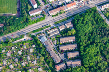 Waldlichtung im Ortsteil Rheinau in Mannheim im Bundesland Baden-Württemberg, Deutschland