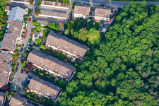 Luftbild von Waldlichtung im Ortsteil Rheinau in Mannheim im Bundesland Baden-Württemberg, Deutschland