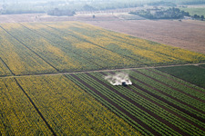 Alberoro im Bundesland Toscana, Italien