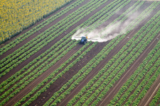Luftbild von Alberoro im Bundesland Toscana, Italien