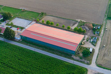 Reitsportanlage Fohlenhof in Steinweiler im Bundesland Rheinland-Pfalz, Deutschland von einer Drohne aus