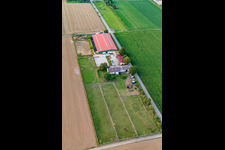 Steinweiler, Fohlenhof im Bundesland Rheinland-Pfalz, Deutschland