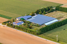 Sudetenhof in Steinweiler im Bundesland Rheinland-Pfalz, Deutschland von oben gesehen