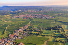 Winzerdorf aus Süden Im Hintergrund Wachenheim am Haardtrand des Pfälzerwalds im Morgenlicht in Forst an der Weinstraße im Bundesland Rheinland-Pfalz, Deutschland