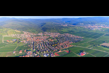 Stadtansicht aus Osten im Morgenlicht in Wachenheim an der Weinstraße im Bundesland Rheinland-Pfalz, Deutschland