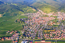 Luftbild von Stadtansicht von Osten im Morgenlicht in Wachenheim an der Weinstraße im Bundesland Rheinland-Pfalz, Deutschland