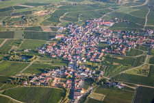 Dorf - Ansicht am Rande von landwirtschaftlichen Feldern und Nutzflächen in Kallstadt im Bundesland Rheinland-Pfalz, Deutschland
