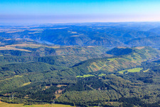 Weinberge am Heimbachtal in Oberheimbach im Bundesland Rheinland-Pfalz, Deutschland