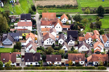 Gänsried x Pfeiferweg in Freckenfeld im Bundesland Rheinland-Pfalz, Deutschland