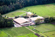 Islandpferdegestüt Bienwald in Freckenfeld im Bundesland Rheinland-Pfalz, Deutschland