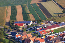 BURG-HAUS GmbH in Minfeld im Bundesland Rheinland-Pfalz, Deutschland von oben