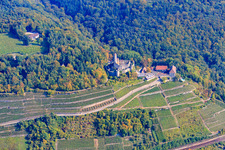 Burg Hornberg über Reben in Steillage in Neckarzimmern im Bundesland Baden-Württemberg, Deutschland