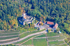 Burg Hornberg in Neckarzimmern im Bundesland Baden-Württemberg, Deutschland