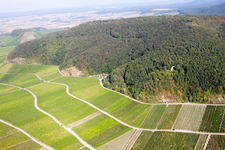 Weinlage Paradies am Hang des Bullenheim Berg in Ippesheim im Bundesland Bayern, Deutschland