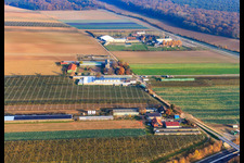 Zapf Hofmarkt und Adamshof in Kandel im Bundesland Rheinland-Pfalz, Deutschland