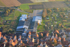 DBK Erweiterung in den Unterkandler Gärten in Kandel im Bundesland Rheinland-Pfalz, Deutschland aus der Luft