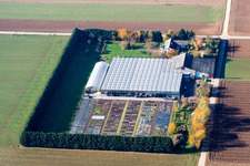 Sudetenhof in Steinweiler im Bundesland Rheinland-Pfalz, Deutschland aus der Drohnenperspektive