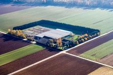 Sudetenhof in Steinweiler im Bundesland Rheinland-Pfalz, Deutschland von der Drohne aus gesehen