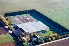 Luftbild von Sudetenhof in Steinweiler im Bundesland Rheinland-Pfalz, Deutschland