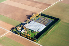 Schrägluftbild von Sudetenhof in Steinweiler im Bundesland Rheinland-Pfalz, Deutschland