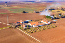 Schossberghof in Minfeld im Bundesland Rheinland-Pfalz, Deutschland aus der Luft