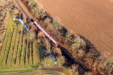 Regionalbahn in Minfeld im Bundesland Rheinland-Pfalz, Deutschland