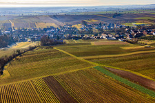 Dorfansicht hinter Weinbergen aus Norden in Dierbach im Bundesland Rheinland-Pfalz, Deutschland