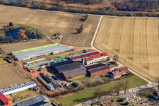 Schmiedhof und Pension Neupotz im Bundesland Rheinland-Pfalz, Deutschland