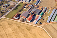 Schmiedhof in Neupotz im Bundesland Rheinland-Pfalz, Deutschland von oben