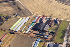 Schmiedhof und Pension Neupotz im Bundesland Rheinland-Pfalz, Deutschland vom Flugzeug aus