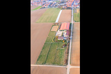 Reitsportanlage Fohlenhof in Steinweiler im Bundesland Rheinland-Pfalz, Deutschland von der Drohne aus gesehen