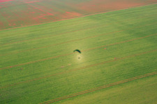 Schatten auf Feld im Ortsteil Dalsheim in Flörsheim-Dalsheim im Bundesland Rheinland-Pfalz, Deutschland