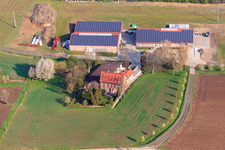 Spargelverkauf Simmel in Ober-Flörsheim im Bundesland Rheinland-Pfalz, Deutschland