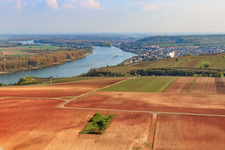 Rhein bei Nierstein im Bundesland Rheinland-Pfalz, Deutschland