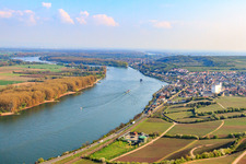 Stadt am Rheinufer von Norden in Nierstein im Bundesland Rheinland-Pfalz, Deutschland