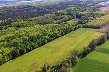 Modellflugplatz des MSC Rülzheim im Bundesland Rheinland-Pfalz, Deutschland