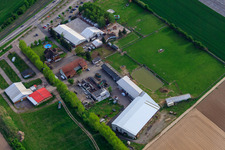 Adamshof nach dem Brand der Ostereierhalle in Kandel im Bundesland Rheinland-Pfalz, Deutschland