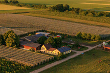 Spargel und Obsthof Gensheimer in Steinweiler im Bundesland Rheinland-Pfalz, Deutschland von oben gesehen