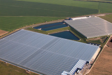 Glasdach- Flächen in den Gewächshausreihen von  Thanet Earth zur Gemüsezucht in in England in Birchington-on-Sea, Vereinigtes Königreich