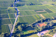 Tennisklub TCO Oberotterbach und SV Oberotterbach 1950 e.V in Dörrenbach im Bundesland Rheinland-Pfalz, Deutschland