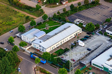 In den Waldstücken in Landau in der Pfalz im Bundesland Rheinland-Pfalz, Deutschland