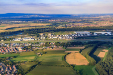 Flugplatz Speyer von Westen im Bundesland Rheinland-Pfalz, Deutschland