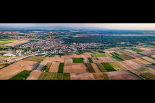 Stadtpanorama von Norden in Rülzheim im Bundesland Rheinland-Pfalz, Deutschland