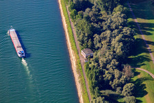 Frachtschiff auf dem Rhein an der Roischnook in Germersheim im Bundesland Rheinland-Pfalz, Deutschland